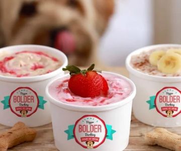 Ice Cream for Dogs: Safe Recipes and Store-Bought Brands