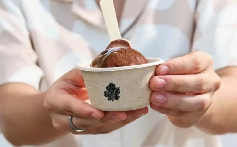 Ice Cream and Sustainability: How Brands Are Reducing Environmental Impact