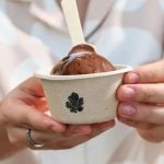 Ice Cream and Sustainability: How Brands Are Reducing Environmental Impact