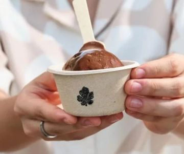 Ice Cream and Sustainability: How Brands Are Reducing Environmental Impact