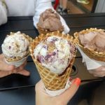 Best Ice Cream Shops in Niagara Falls for New York State Wine Ice Cream