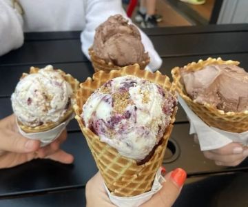 Best Ice Cream Shops in Niagara Falls for New York State Wine Ice Cream