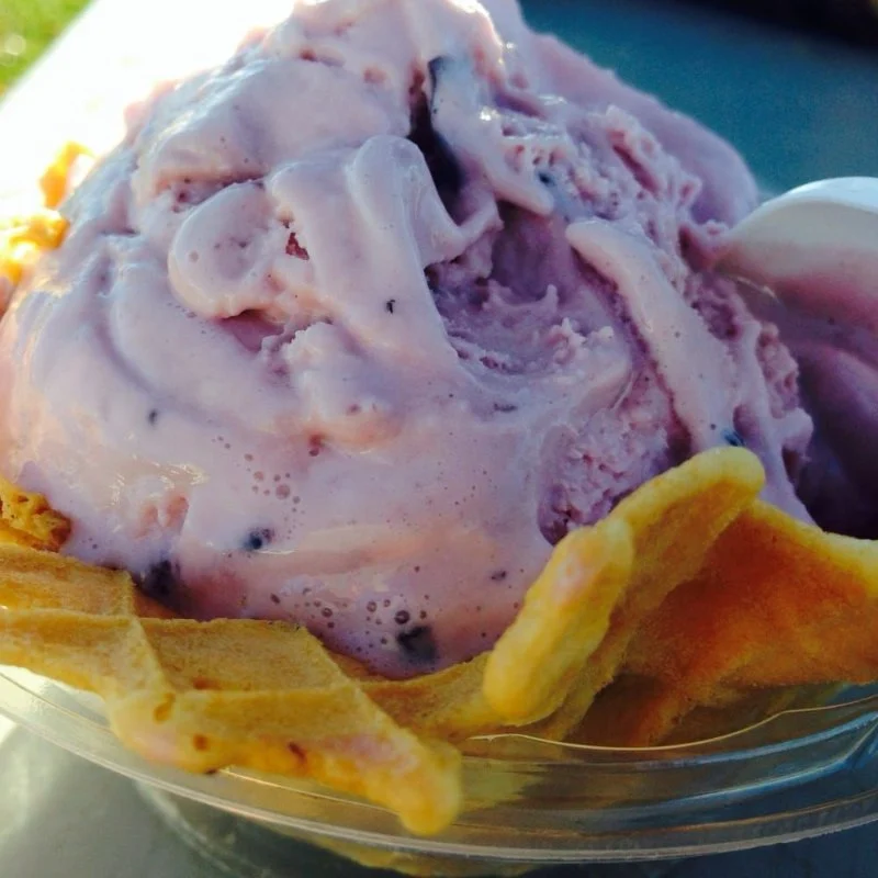 Best Ice Cream Shops in Boise for Idaho Huckleberry Preservation