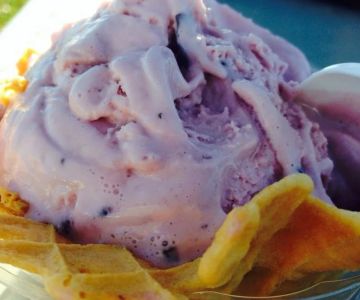 Best Ice Cream Shops in Boise for Idaho Huckleberry Preservation