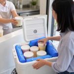 How to Transport Ice Cream Home Without It Melting